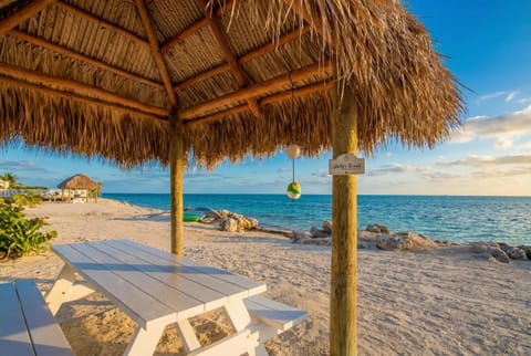 Enjoy our Tiki hut on the beach