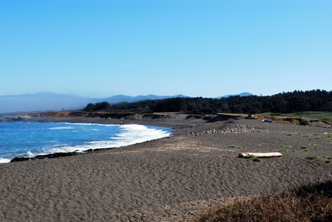 MacKerricer Beach