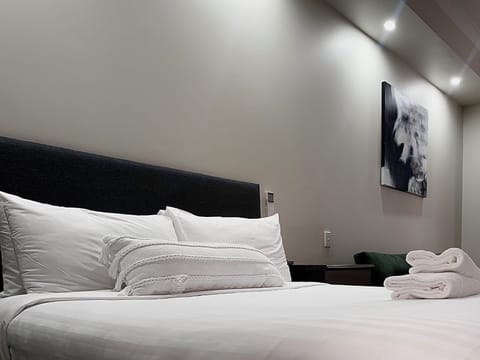 Hypo-allergenic bedding, desk, soundproofing, iron/ironing board