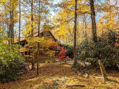 Highlands Treehouse - Fall Season