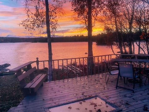 View from dining room window on a fall morning 💜