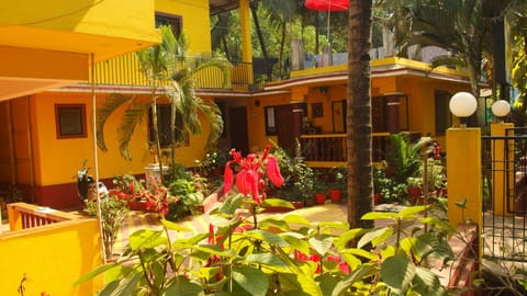 Garden view