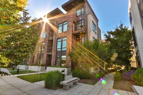 Welcome to The Vue!