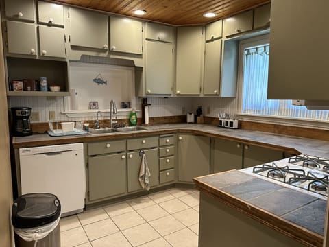 Large kitchen with dishwasher