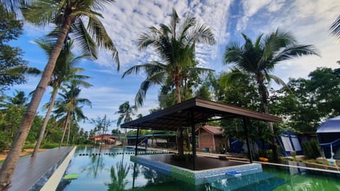 Outdoor pool, open 10:00 AM to 8:00 PM, free cabanas, sun loungers