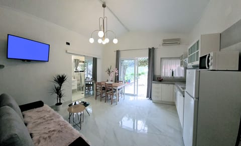 apartment living room , kitcken