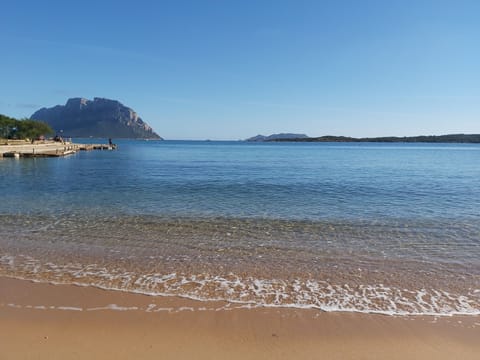 Beach nearby, white sand