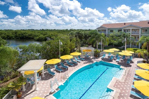 Outdoor pool, sun loungers