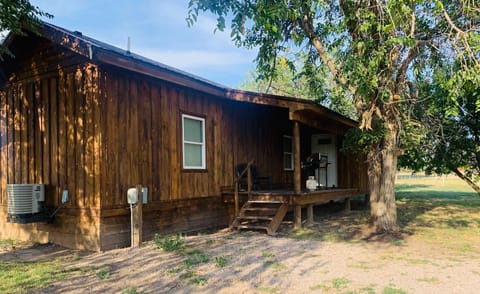 Horses graze freely outside the cabin. 