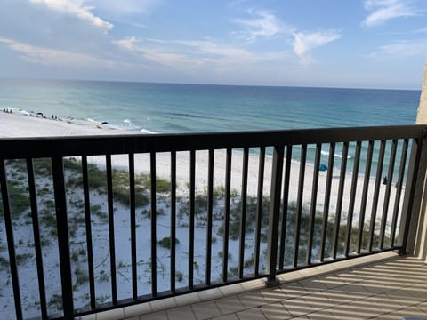 Beautiful Gulf Views!