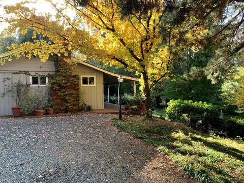 Gravel Driveway