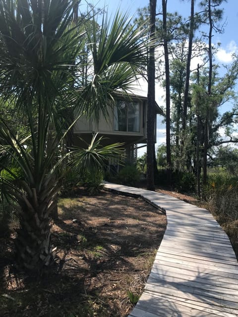 Wind your way through the marsh to privacy!
