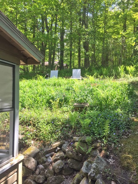 Quiet and privacy surrounded by ferns and wildlife.