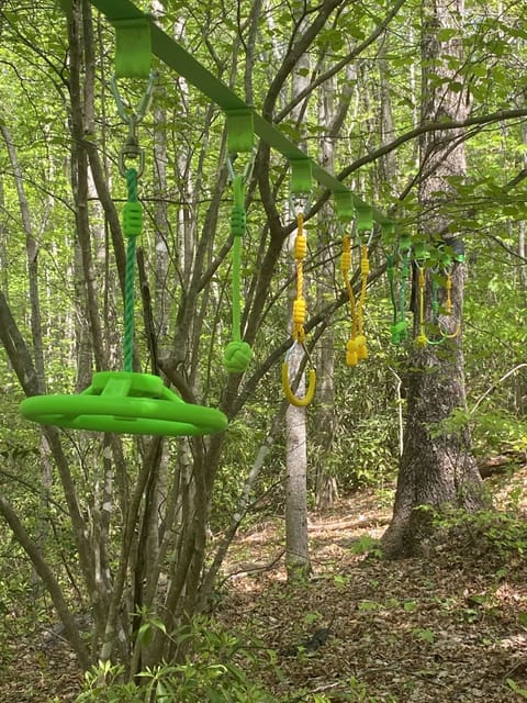 Woodland Ninja course