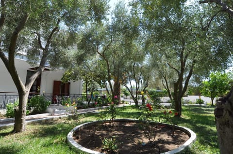 Basic Apartment | Terrace/patio