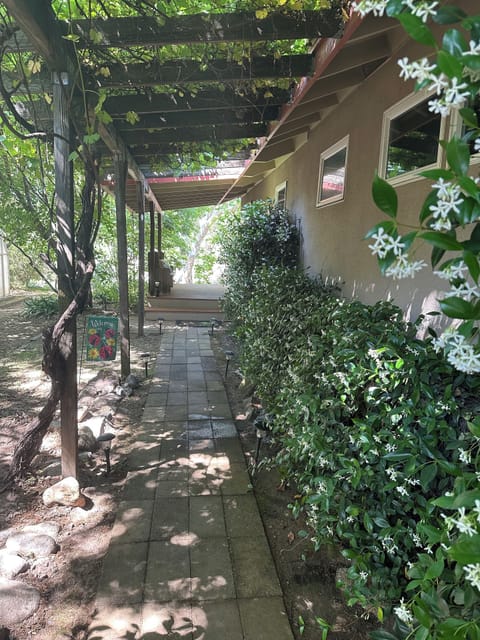 Walking path to the front door