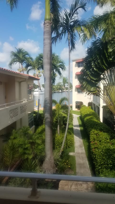 View from front door of gardens and intercoastal