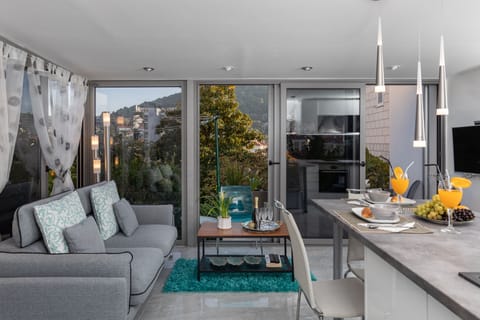 Apartment (One-Bedroom Apartment) | Living room | Flat-screen TV