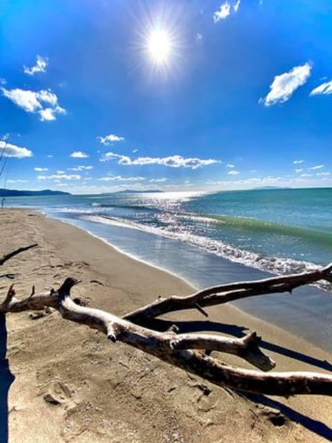 Apartment, 1 Bedroom, Smoking, Balcony | Beach