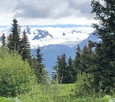 Peek-a-boo views of the mountains