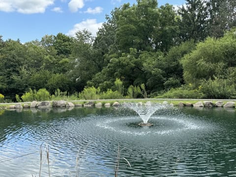 Common Space - Pond & Trail