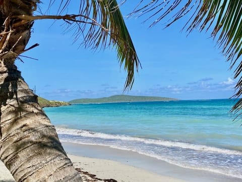 The Reef Beach