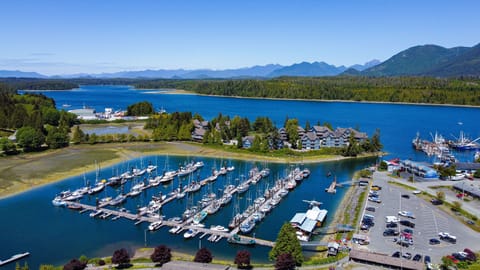 Ucluelet marina