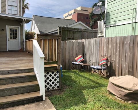 Back yard/ patio de atrás.