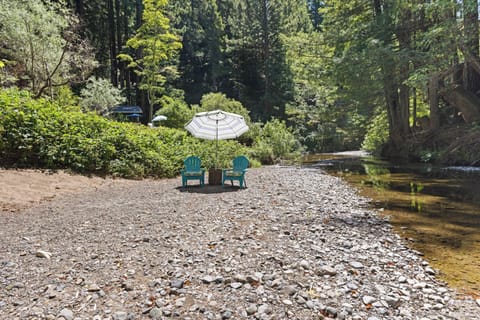 Welcome to Blackberry Bliss - Where the soundtrack is flowing water and birdsong.