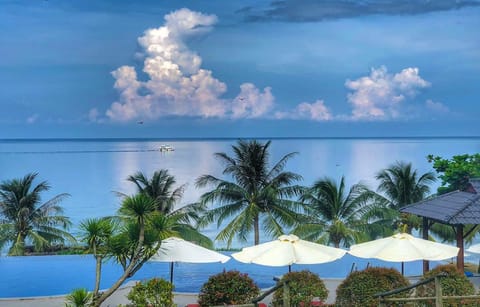Outdoor pool, pool umbrellas, sun loungers