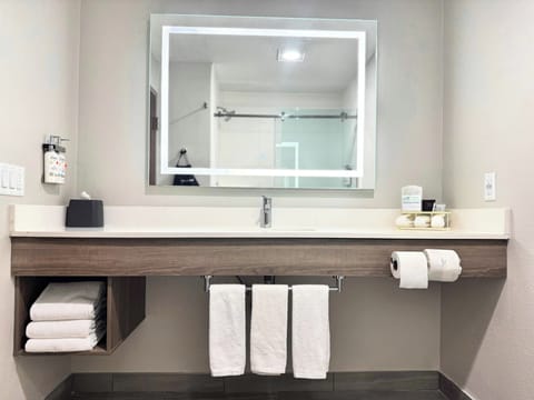 Combined shower/tub, free toiletries, hair dryer, towels