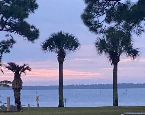 Side view of the sunset 