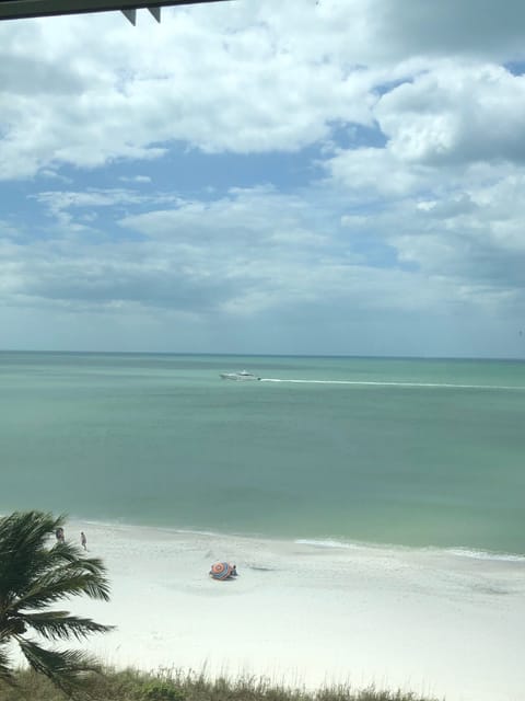 Beautiful Naples Beach