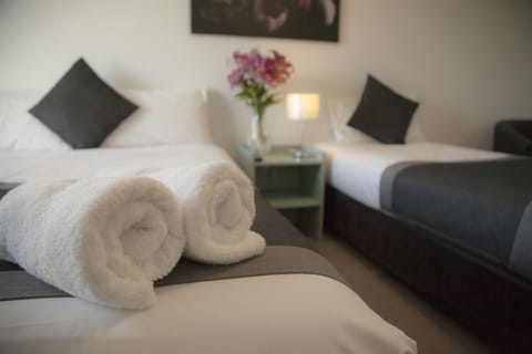Deluxe Twin Room | Iron/ironing board, WiFi (free), bed sheets