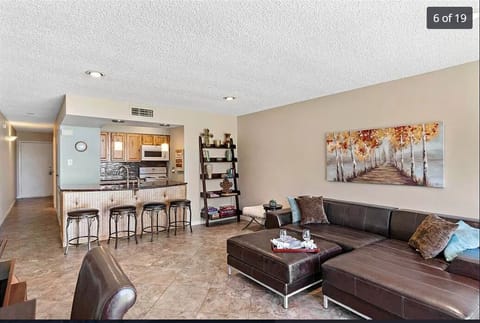 Spacious living area with counter height bar. Leather sofa to relax and sleep. 