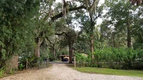 Looking out to the street from the home