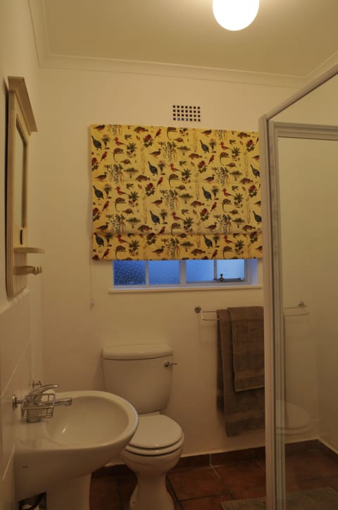 Towels, soap, shampoo, toilet paper