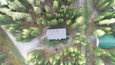 Arial view of the cabin and surrounding area. The cabin is surrounded in pine trees.