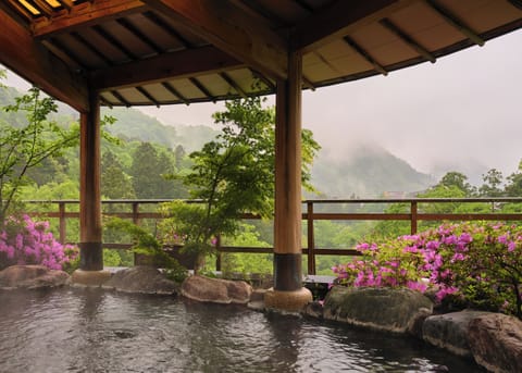 Hot springs