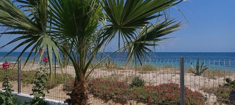 Condo, 1 Bedroom, Accessible, Patio | Property grounds
