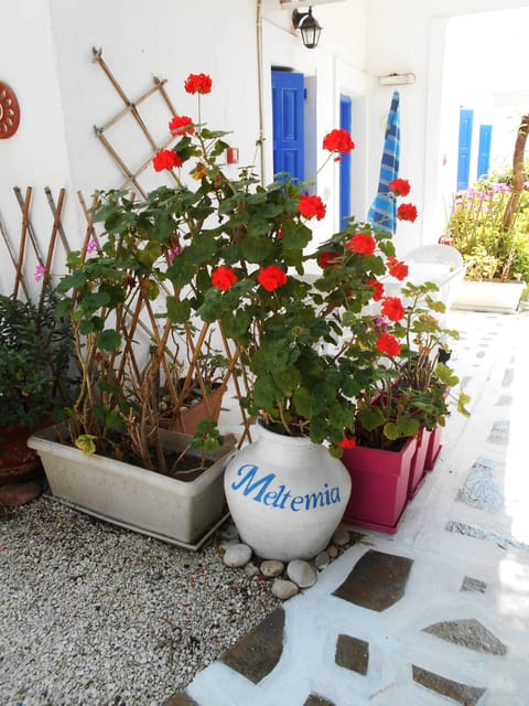 Apartment, 1 Bedroom, Patio, Garden View | Balcony