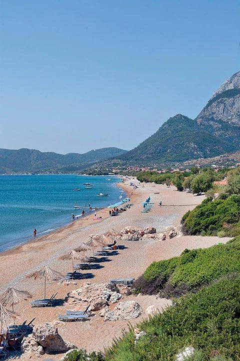 Apartment, 1 Bedroom, Patio, Garden View | Beach