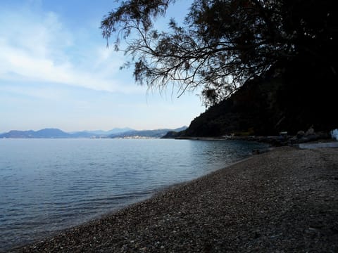 Apartment, 1 Bedroom, Patio, Garden View | Beach