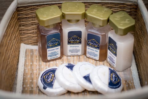 Single Room | Bathroom | Shower, free toiletries, hair dryer, towels