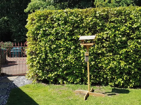 Garden | Cloud Cottage, Duns