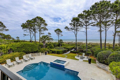 24 Sandhill Crane - Oceanfront Sea Pines Home