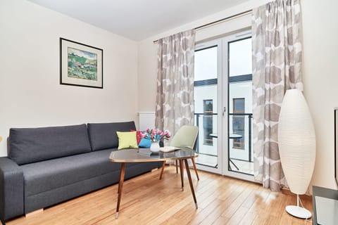 Living room with a sofa bed, TV and exit to balcony.