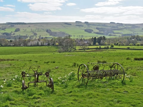 Breathtaking surrounding area | Fern Cottage, Thorngrafton, near Bardon Mill