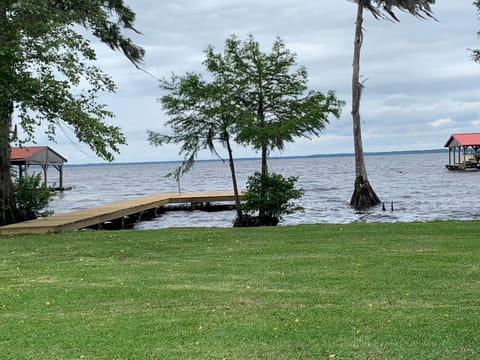 View From House (Backyard)
