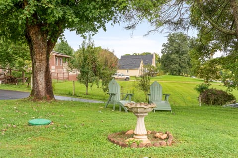 Relaxing in the Shade